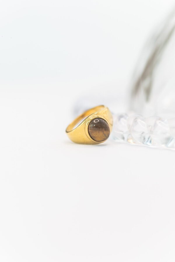 Tiger Eye - Image 6